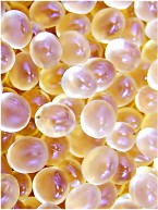 hysol5089|Loctite5089�zˮ